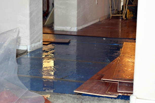 Professional Burst Pipe Cleanup technician working in Boon, MI